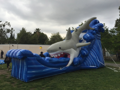 giant inflatable shark water slide