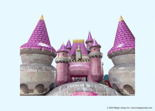 disney princes castle playground combo rental